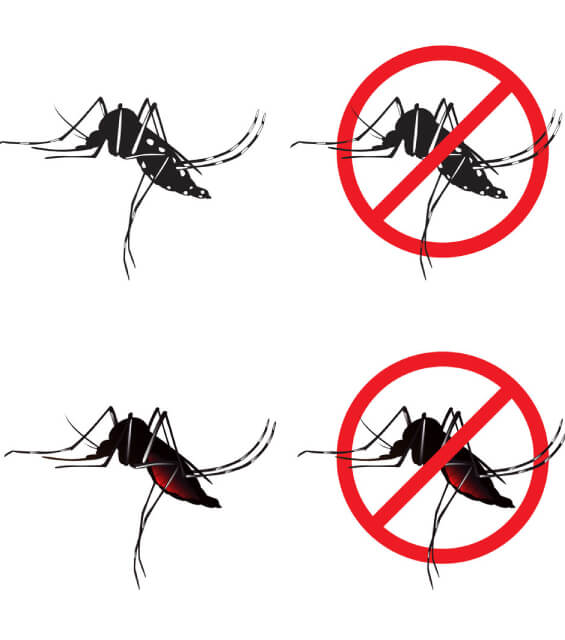 達鑫環衛的病媒防治須知圖片