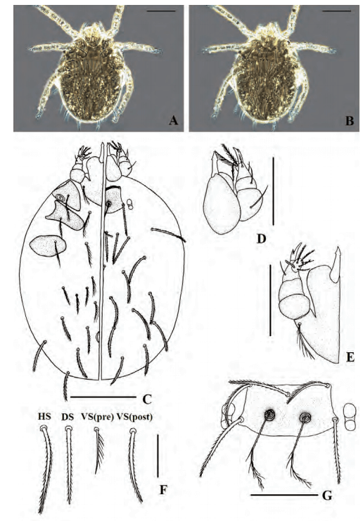 達鑫環衛的最新消息圖片
